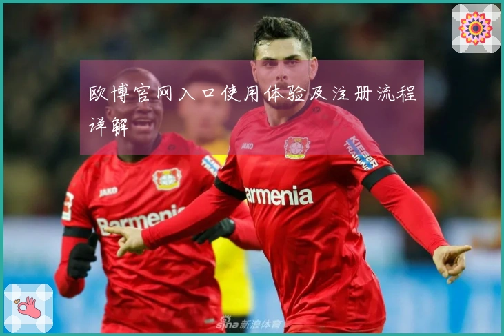 欧博官网入口使用体验及注册流程详解