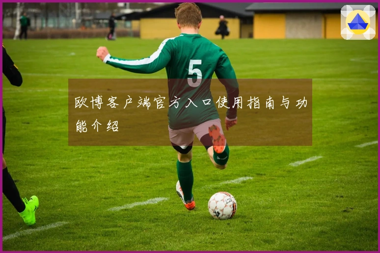 欧博客户端官方入口使用指南与功能介绍