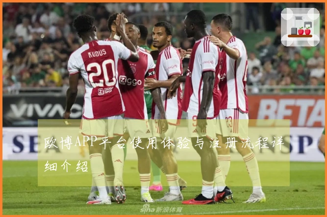 欧博APP平台使用体验与注册流程详细介绍