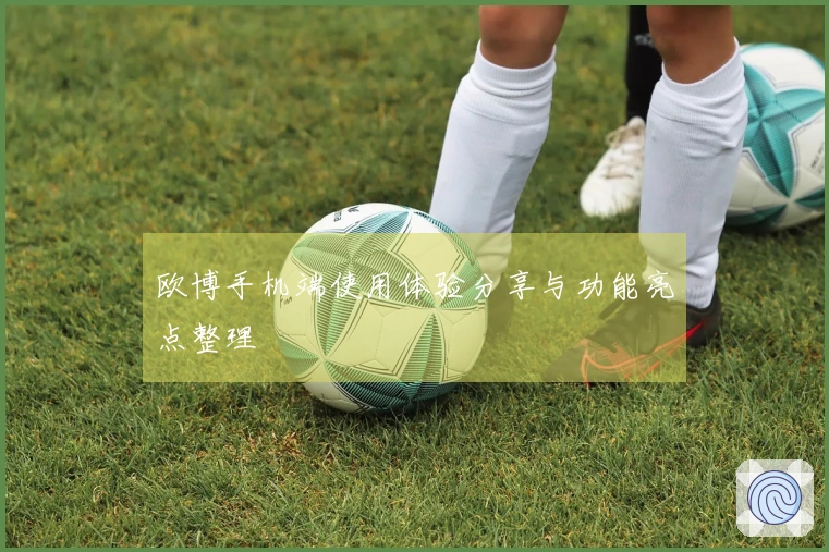 欧博手机端使用体验分享与功能亮点整理