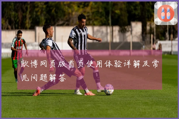 欧博网页版首页使用体验详解及常见问题解答